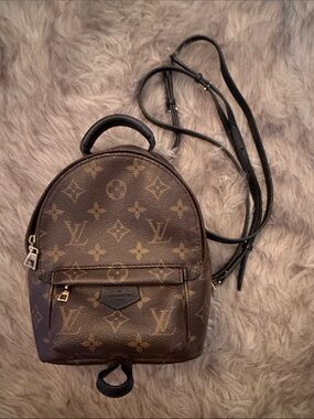 Louis Vuitton Palm Springs Mini Backpack
